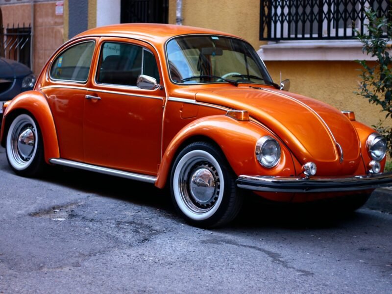 Vintage Beetle